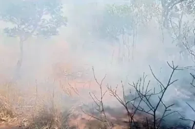Incêndio na Serra do Mimo, na região Oeste da Bahia, tem se espalhado pela vegetação