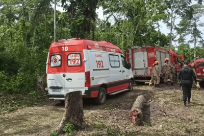 Queda de avião de pequeno porte deixa 12 mortos no Acre