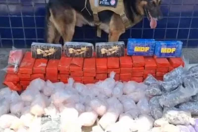 Operação conjunta localiza cerca de 70 quilos de drogas em Nazaré
