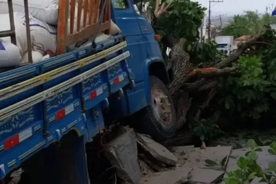 Caminhão derruba árvore após perder freio no interior baiano