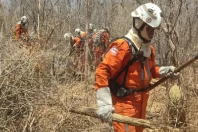 Bahia contabiliza 16 focos de incêndio no final de semana