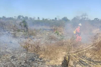 Mais de 220 bombeiros com apoio de 50 viaturas e brigadistas voluntários atuam no combate a incêndios florestais no interior da Bahia
