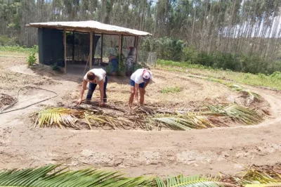 Comunidade rural de Catu se prepara para uma agricultura familiar sustentável e produtiva