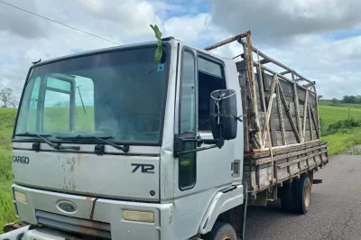 Caminhão com bois roubados em fazenda de Alagoinhas é encontrado próximo a Terra Nova