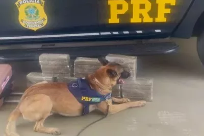 Mulher é presa transportando maconha dentro de ônibus em Vitória da Conquista