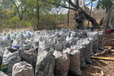 Vinte e cinco toneladas de carvão vegetal ilegal são apreendidas na Bahia