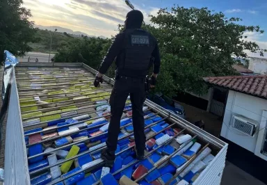 600kg de maconha escondidos em caminhão baú são achados pela Polícia Civil na BR-030