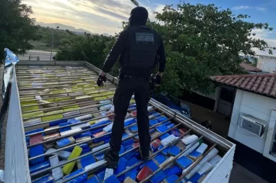 600kg de maconha escondidos em caminhão baú são achados pela Polícia Civil na BR-030