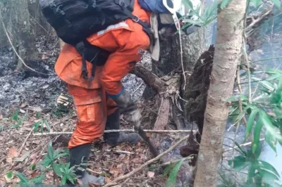 Mais 50 bombeiros militares e 10 viaturas seguem para dar apoio a incêndios no sul da Bahia