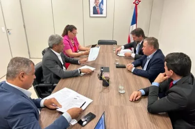 Em Brasília, governador e executivos da ALZ Grãos dialogam sobre fábrica de biocombustíveis no Oeste da Bahia