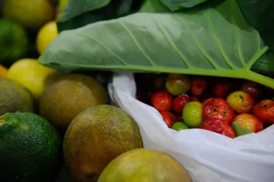 Registro de novos agrotóxicos segue em alta no Brasil, diz Mapa
