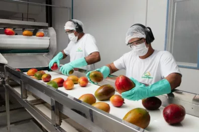 Exportações de frutas da Bahia superam 1 bilhão de reais até novembro