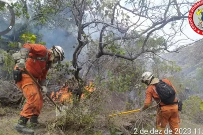 Cerca de 200 bombeiros militares atuam no combate a incêndios florestais no interior da Bahia