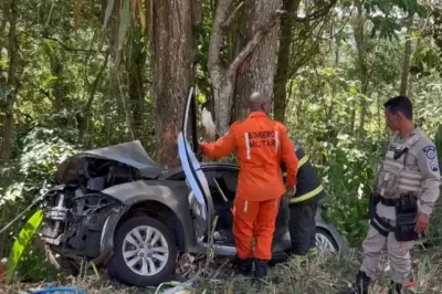 Três pessoas morrem após carro bater em árvore às margens de rodovia na Bahia