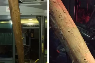 Motorista de ônibus fica ferido após tora de eucalipto invadir frente de veículo