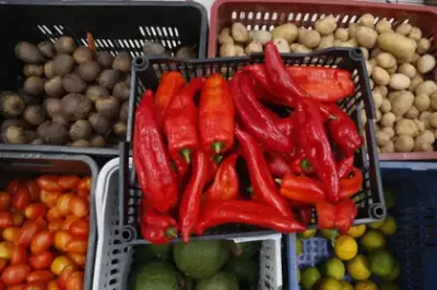 Vendas de produtos orgânicos no país crescem 30%, aponta pesquisa