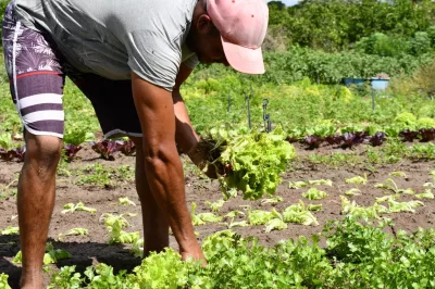 Alagoinhas: Agricultores familiares desenvolvem capacidades empreendedoras no projeto Empreender no Campo