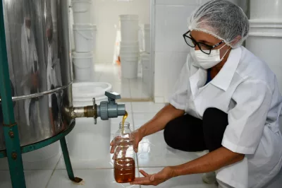 Mel produzido no povoado de Rio Branco será vendido em redes de supermercado