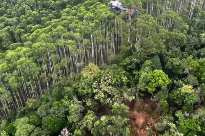 PM encontra helicóptero desaparecido há 12 dias em São Paulo; corpos foram localizados junto à aeronave