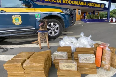 Com ajuda de cão farejador, polícia acha 80kg de drogas em bagageiro de ônibus em Conquista