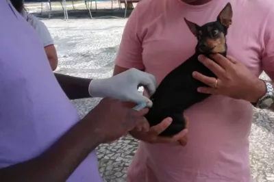 Alagoinhas: Vacinação antirrábica para cães e gatos é realizada às quartas e sextas na Vigilância em Saúde