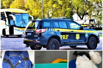 Cão farejador da PRF encontra maconha e cocaína escondidos em bagagem de mulher que viajava num ônibus interestadual