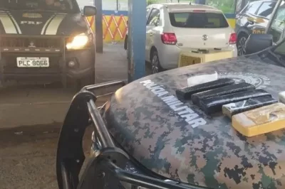 Drogas são apreendidas em ônibus na BR-116 durante ação conjunta da polícia