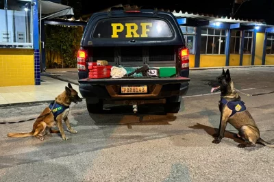 Mulher com criança de colo é flagrada pela PRF transportando submetralhadora e drogas em um ônibus interestadual