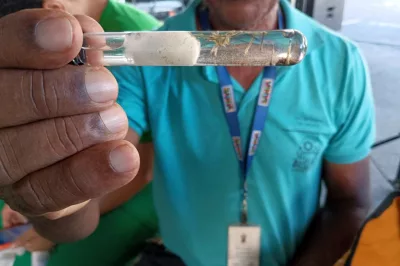 Sobe para 64 o número de mortes por dengue na Bahia