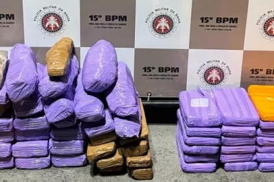 Polícia Militar apreende 65kg de drogas no sul do estado