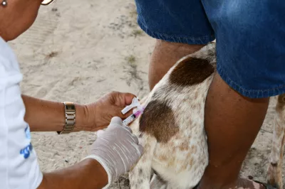 I Encontro Pet Beneficente é realizado em Alagoinhas