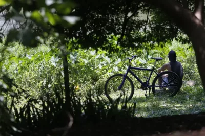 Outono chega com temperaturas acima da média em todas as regiões