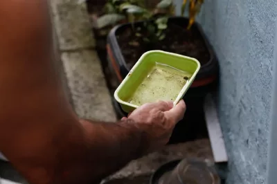Brasil já tem mais de 3 milhões de casos de dengue em 2024