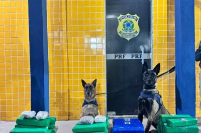 PRF apreende mais de 50kg de entorpecentes no oeste baiano
