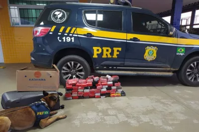 Com ajuda de cão farejador, PRF apreende 57 kg de maconha em ônibus que passava pelo Sudoeste baiano