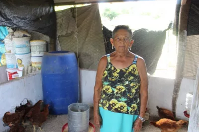 Irará: Criação de galinhas impulsiona segurança alimentar e geração de renda em comunidade quilombola