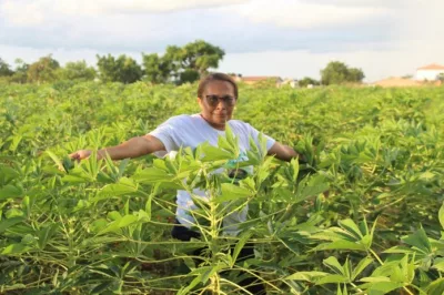 Produção de mandioca na zona rural de Santanópolis é revitalizada e leva empoderamento para agricultoras