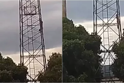 Homem cai de torre telefônica após ser atacado por abelhas na Bahia