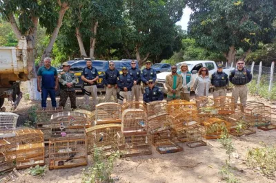 Operação do Inema e da PRF resgata cerca de 1,2 mil aves silvestres na região norte do estado