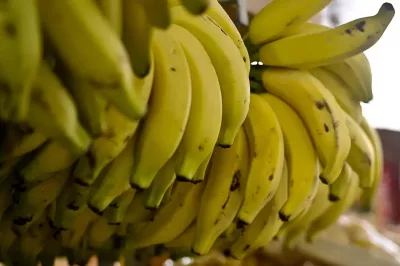 Batata, banana, laranja e melancia estão mais baratas, segundo a Conab