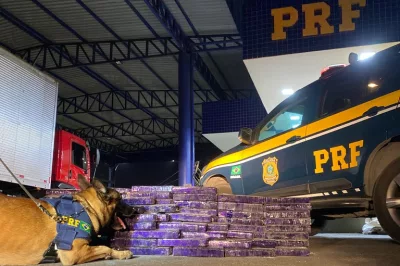 Cão farejador da PRF localiza 150 kg de maconha em caminhão em Vitória da Conquista