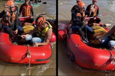 Égua Caramelo é resgatada de telhado de casa no Rio Grande do Sul