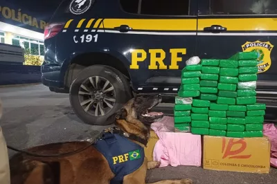 Operação policial apreende 50 kg de maconha em Vitória da Conquista