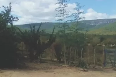 Comunidade rural na Bahia espera energia elétrica há mais de 20 anos
