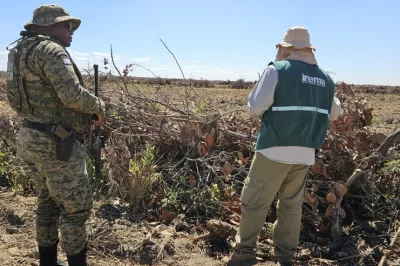 Tecnologias de monitoramento ambiental auxiliam na proteção do Cerrado baiano