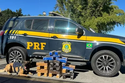 PRF apreende 67 kg de maconha em ônibus interestadual na BR 116