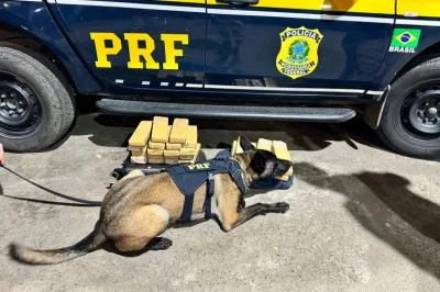 PRF apreende mais de 19 kg de maconha em ônibus na BR-116