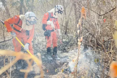 Bombeiros acabam com incêndios florestais em três cidades da Bahia