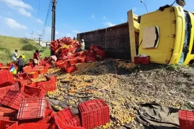 Caminhão que transportava carga de caju tomba na BR-324 em Feira de Santana