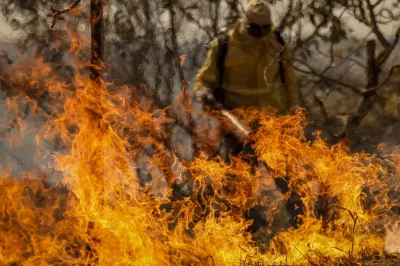 Entenda as linhas de investigação dos incêndios florestais no país